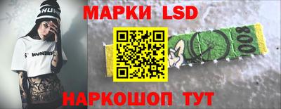 мдпв Камышлов
