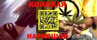 мдпв Камышлов