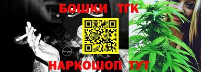 индика Кандалакша