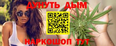 индика Кандалакша