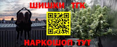 мдпв Камышлов