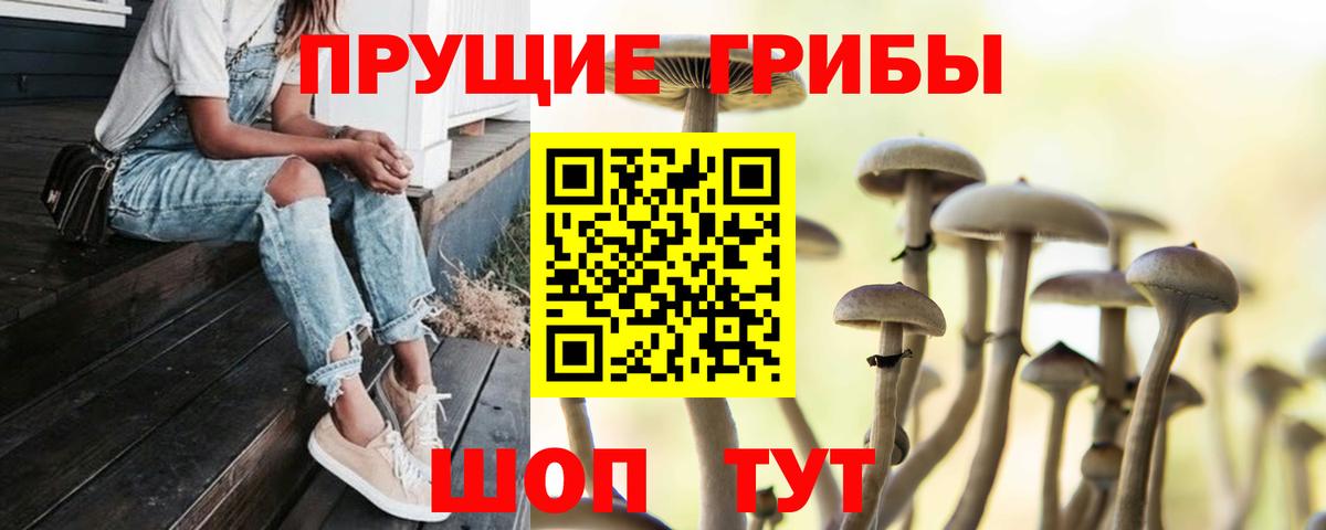 Галлюциногенные грибы ЛСД Волгоград