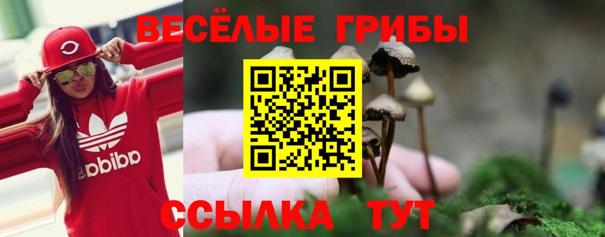 Псилоцибиновые грибы Magic Shrooms  Галлюциногенные грибы GOLDEN TEACHER  Вход с VPN  Волгоград 